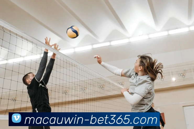 多媒体互动体验